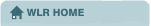 Home tab